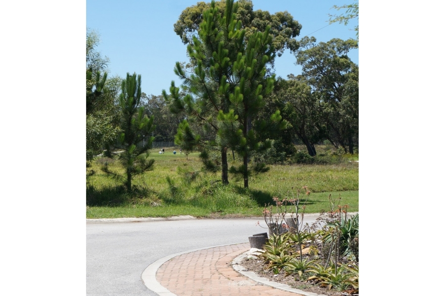 0 Bedroom Property for Sale in Wedgewood Golf Estate Eastern Cape